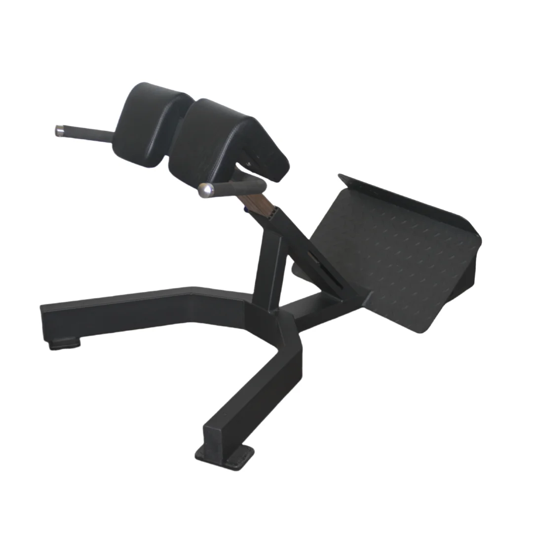 Home Gym Price - Ławka do ćwiczeń pleców typu Roman