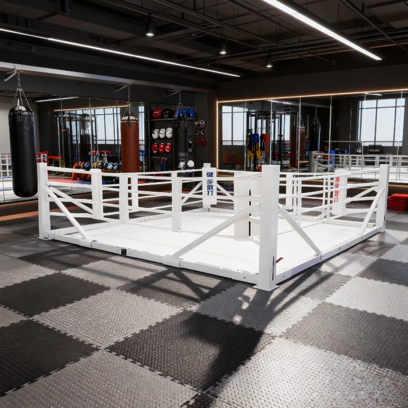Składany ring bokserski do ćwi – Home Gym Foldable recenzja i cena